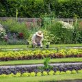 Travaux de jardin