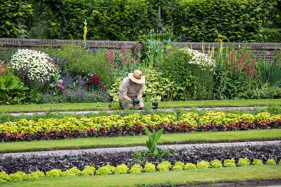 Travaux de jardin